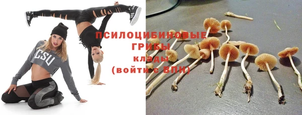 spice Абинск