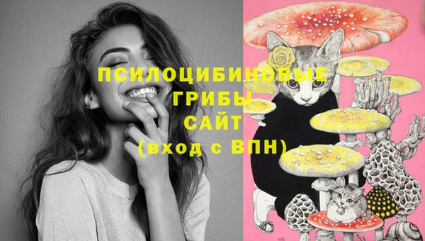 spice Абинск