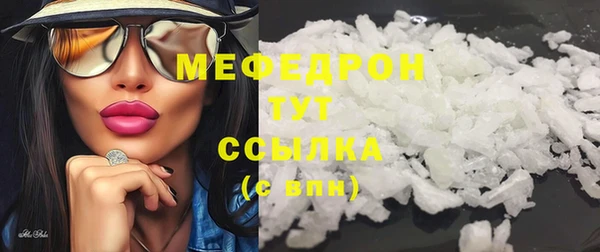гашик Пестово