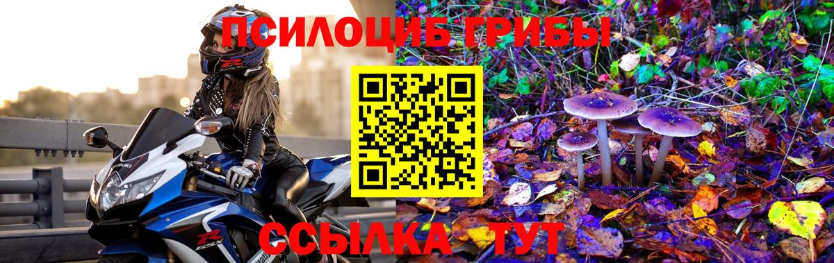 Псилоцибиновые грибы мухоморы Саранск