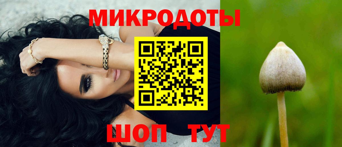 Галлюциногенные грибы Psilocybine cubensis  Вход с VPN  где купить наркоту  Саранск 