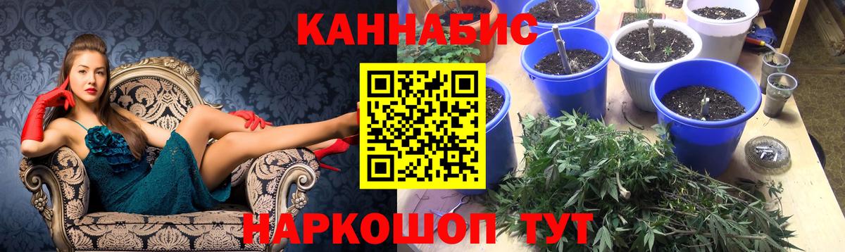 Бошки марихуана Ganja Саранск